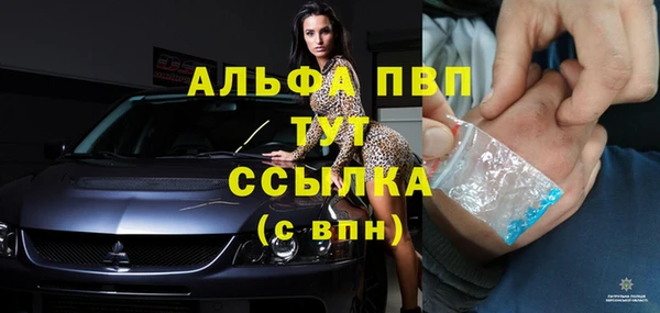 дживик Гусев
