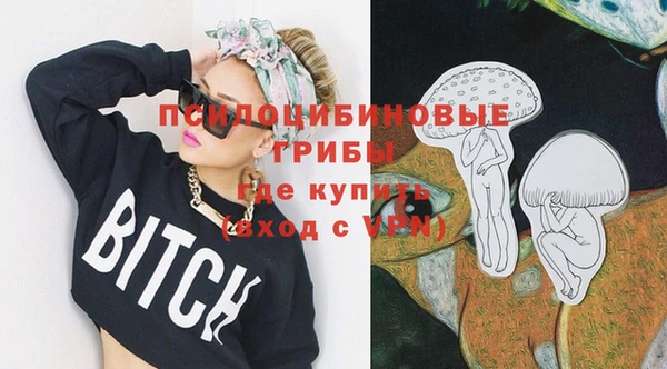 не бодяженный Гусь-Хрустальный