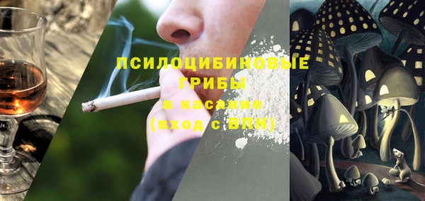 не бодяженный Гусь-Хрустальный