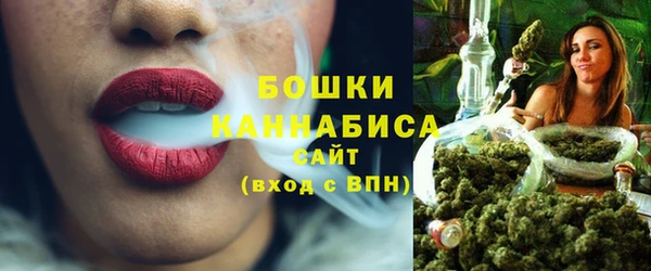 дживик Гусев